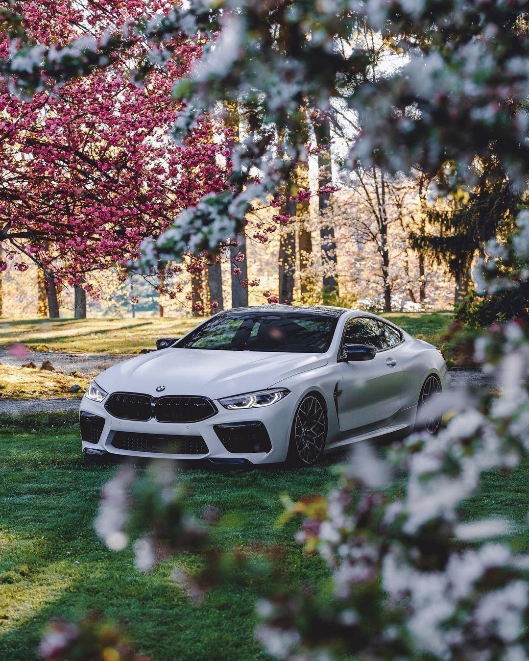 BMW F92/F91/F93 M8
