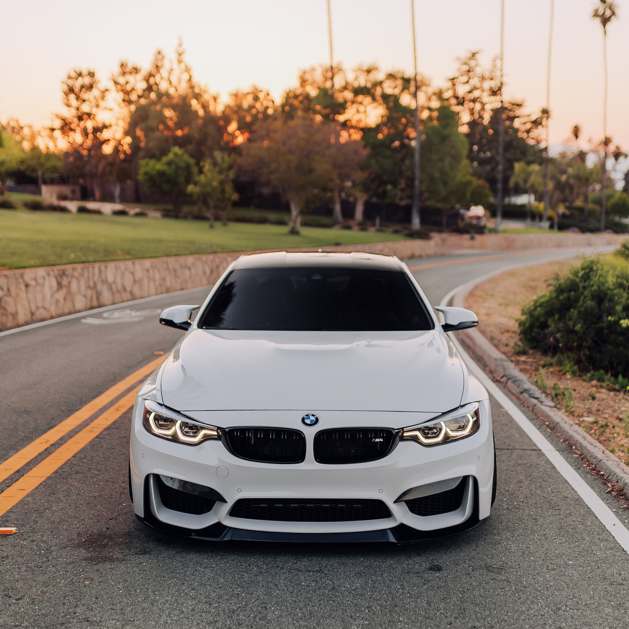 CS Style Carbon Fiber Front Lip - BMW F80 M3 & F82/F83 M4