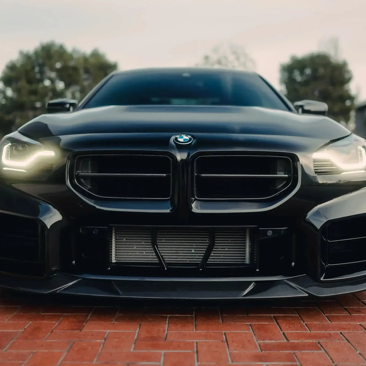 AN Style Carbon Fiber Front Grilles - BMW G87 M2