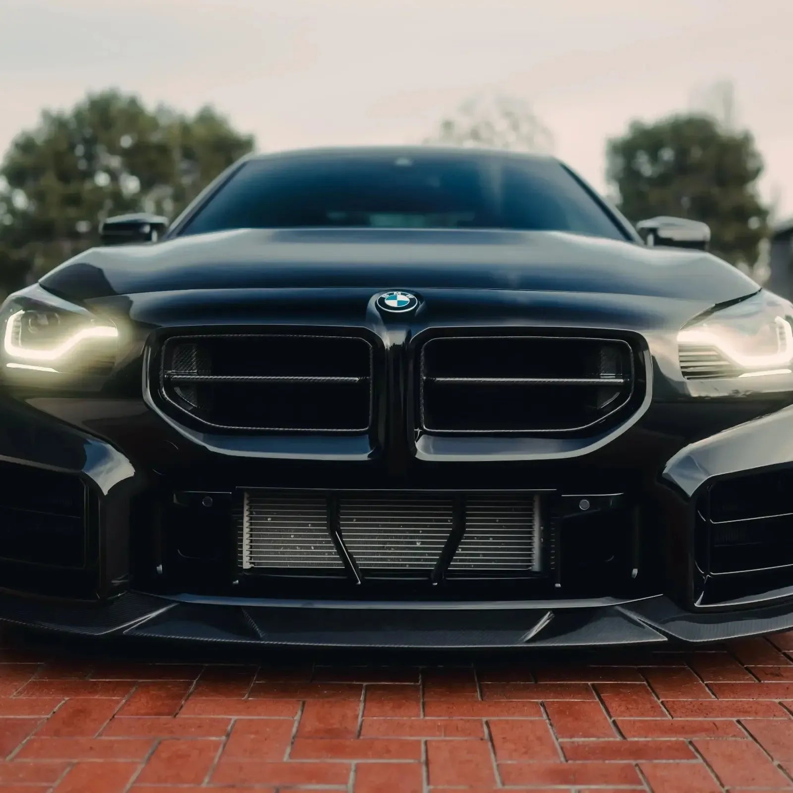 AN Style Carbon Fiber Front Grilles - BMW G87 M2