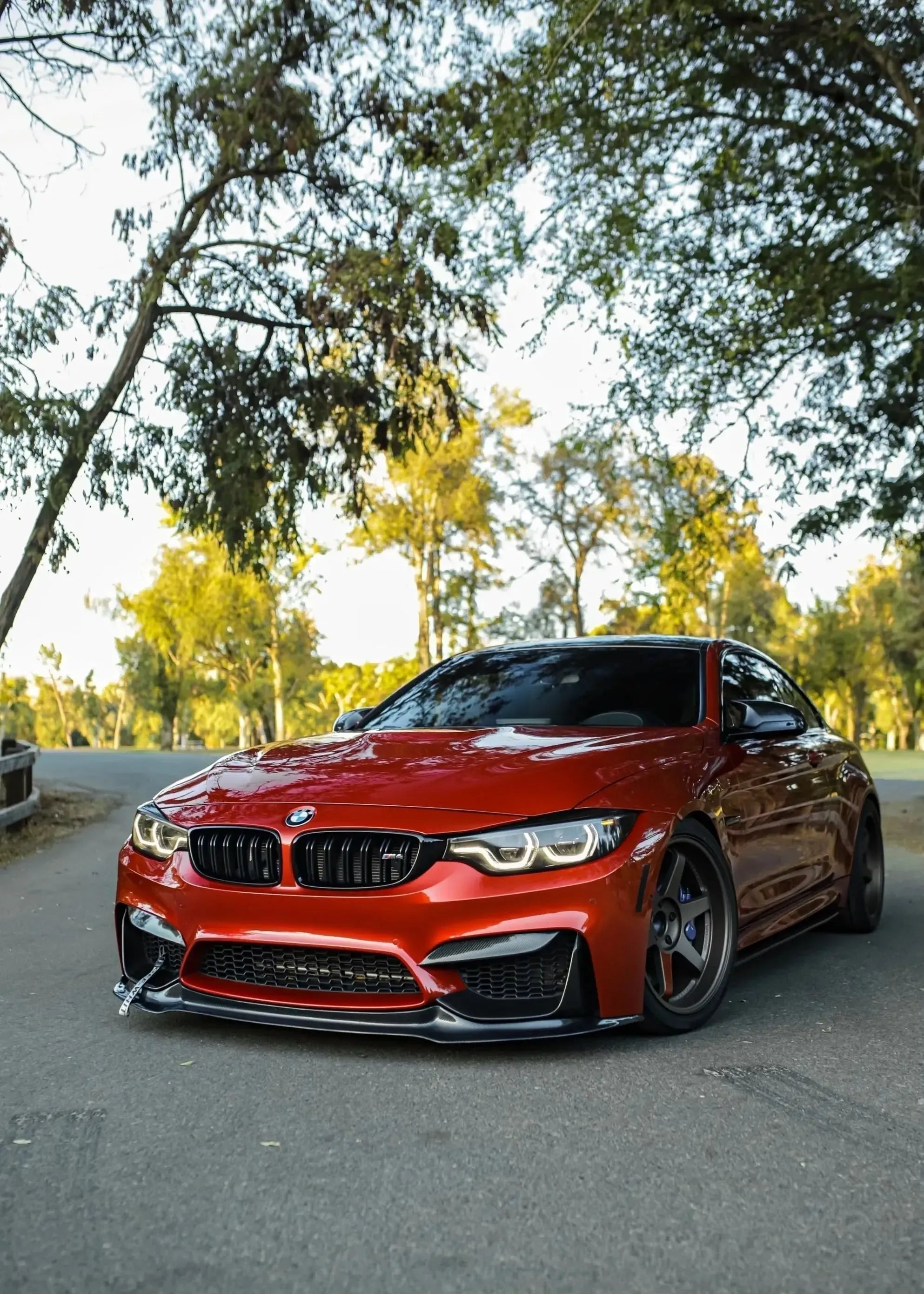 BMW F8X M3/M4 Carbon Fiber Front Lip