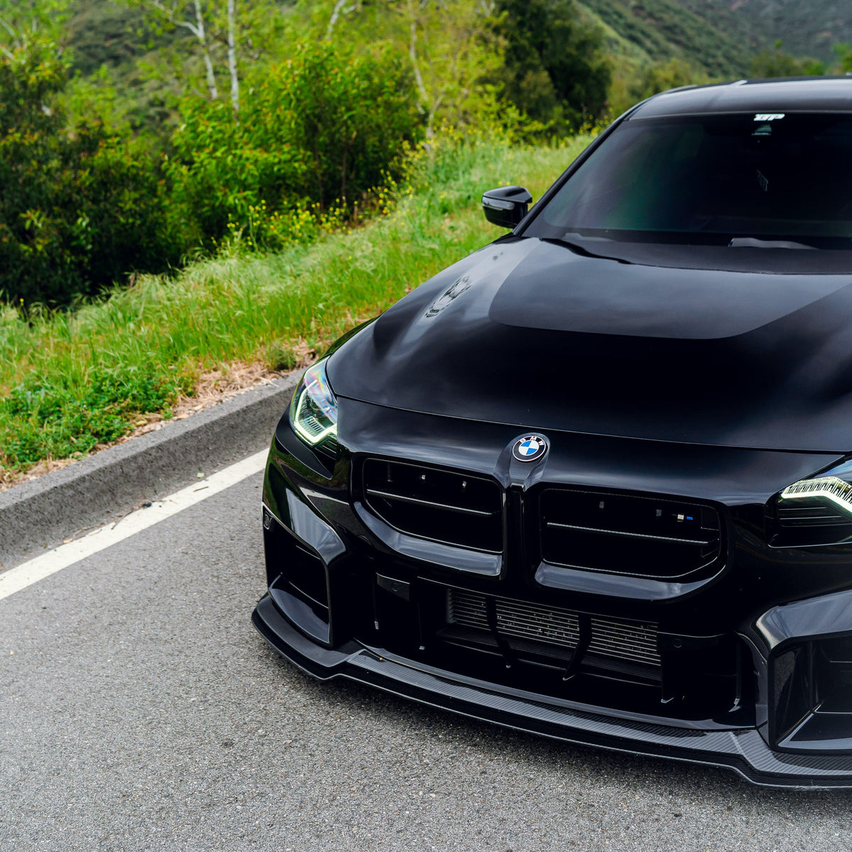AN Style Carbon Fiber Front Grilles - BMW G87 M2