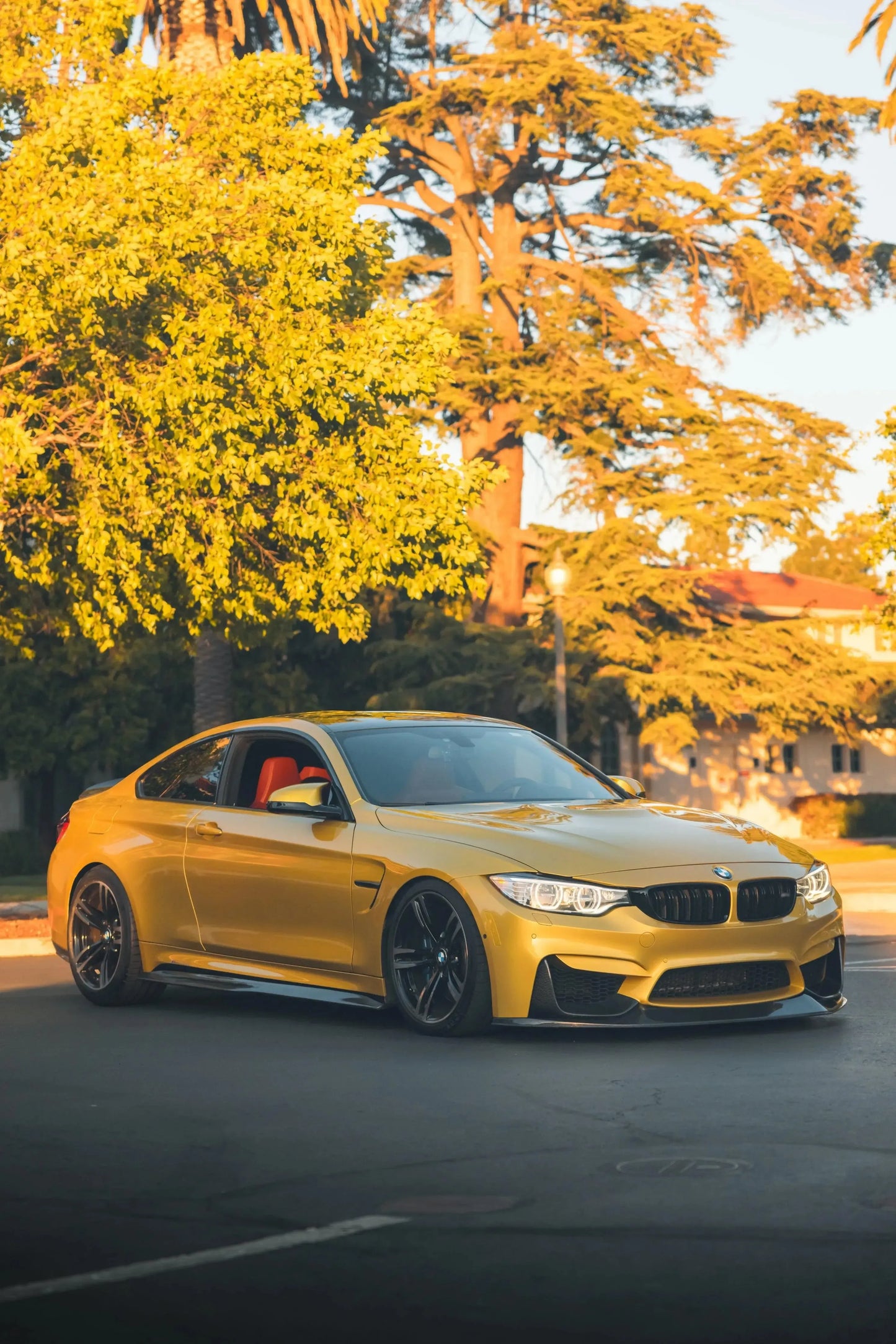 RSC Style Carbon Fiber Front Lip - BMW F80 M3 & F82 / F83 M4