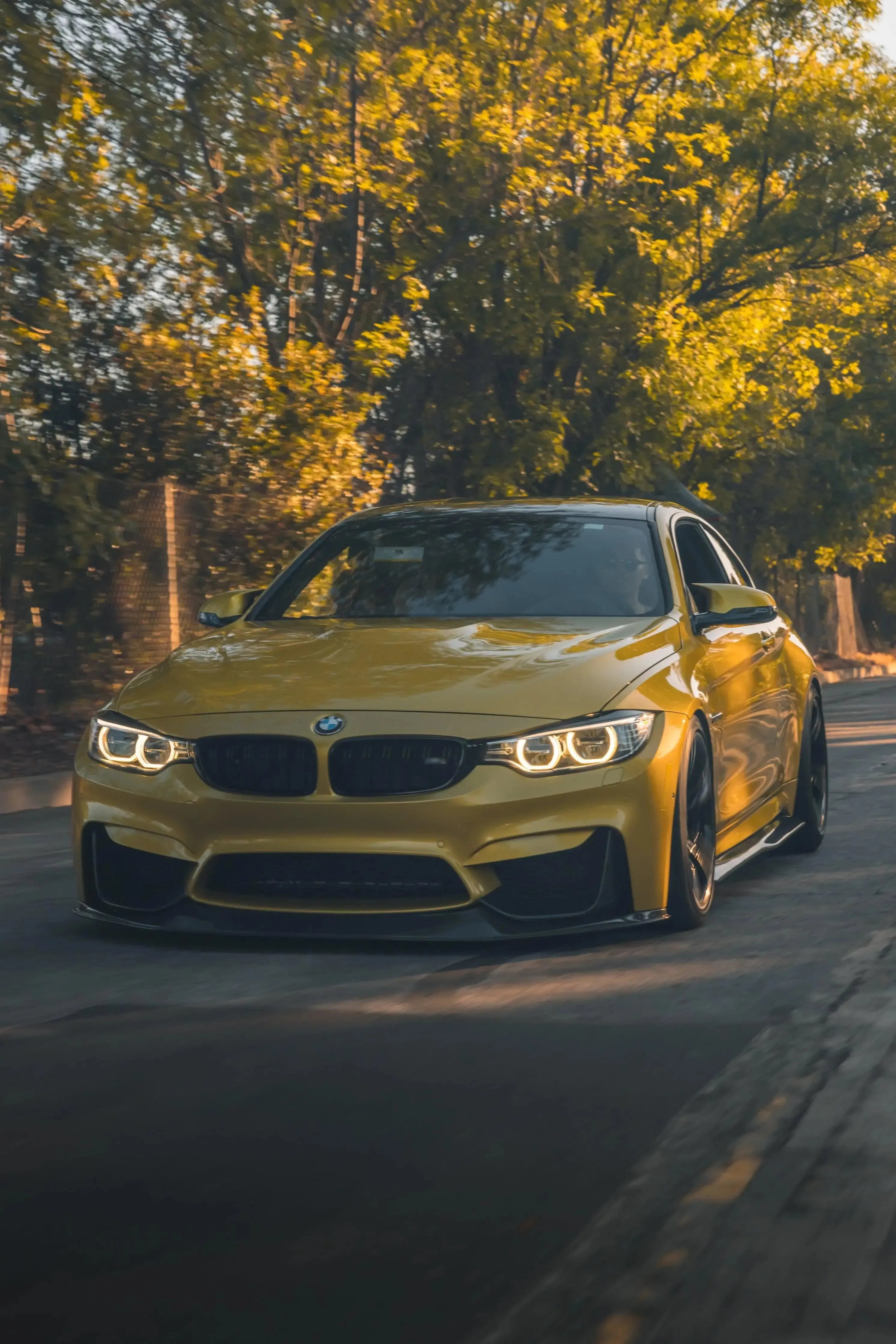 RSC Style Carbon Fiber Front Lip - BMW F80 M3 & F82 / F83 M4