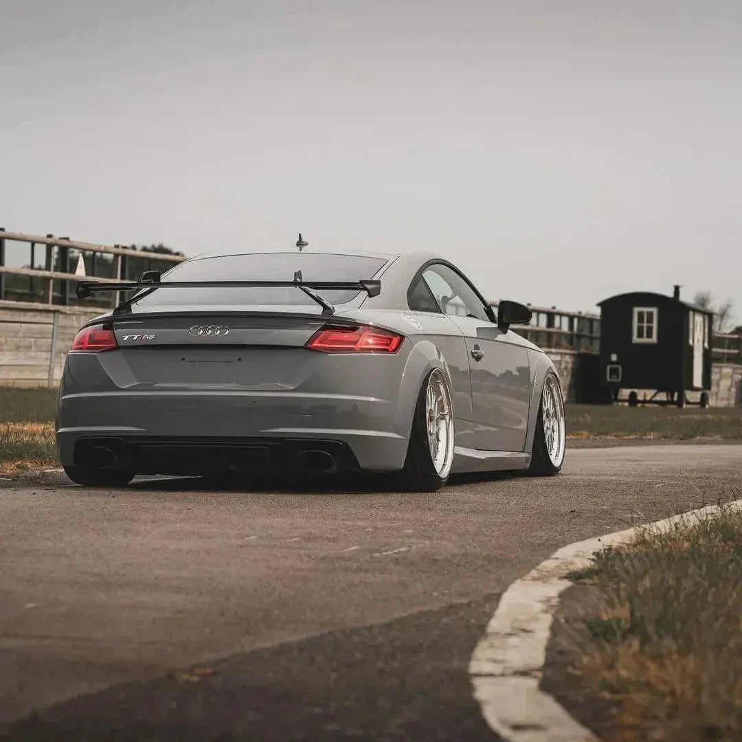 Sport Carbon Fiber Wing - Audi MK3 TTRS / TTS / TT Sport