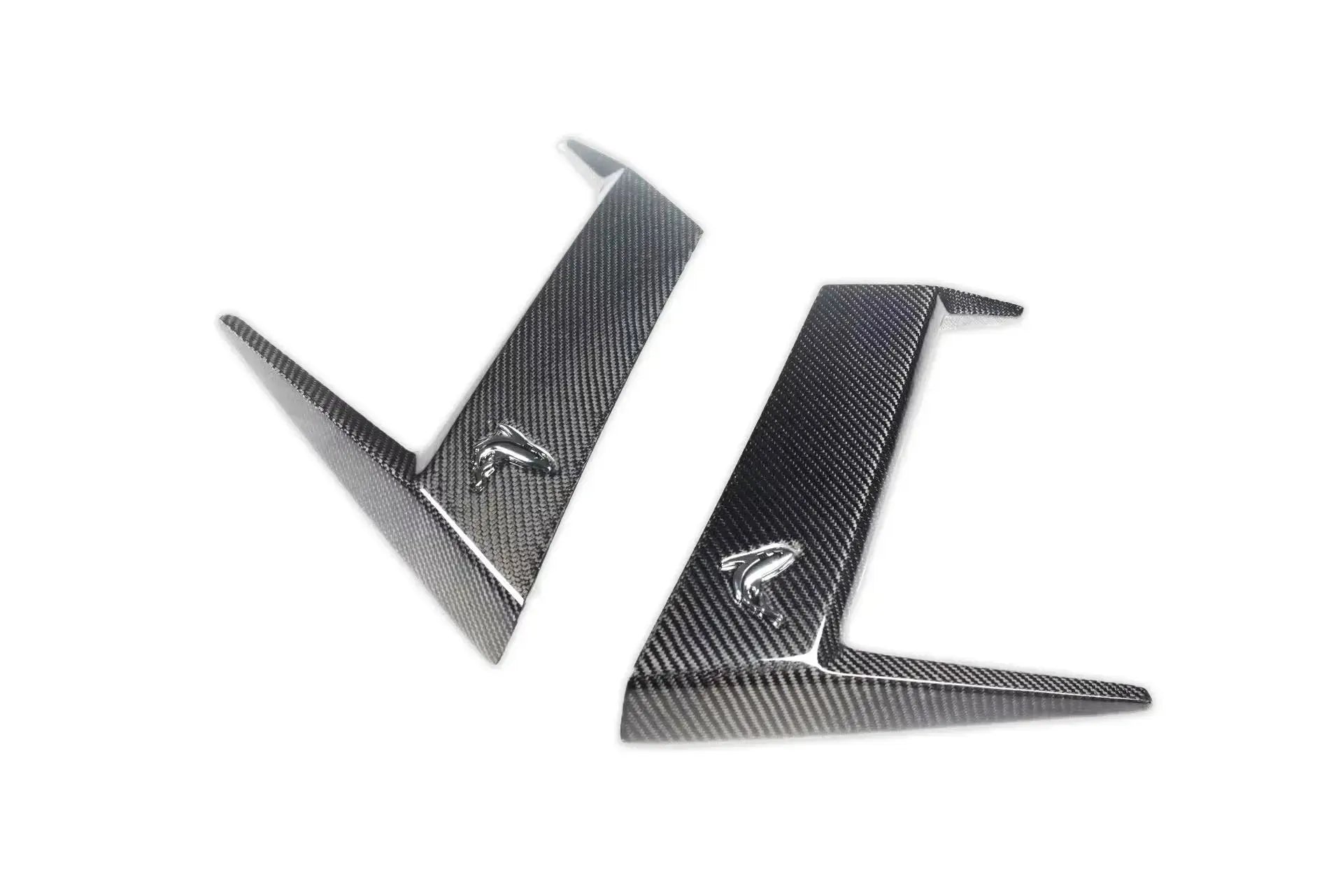 TC Style Carbon Fiber Body Kit - G Wagon W464 G350 & G500 & G63
